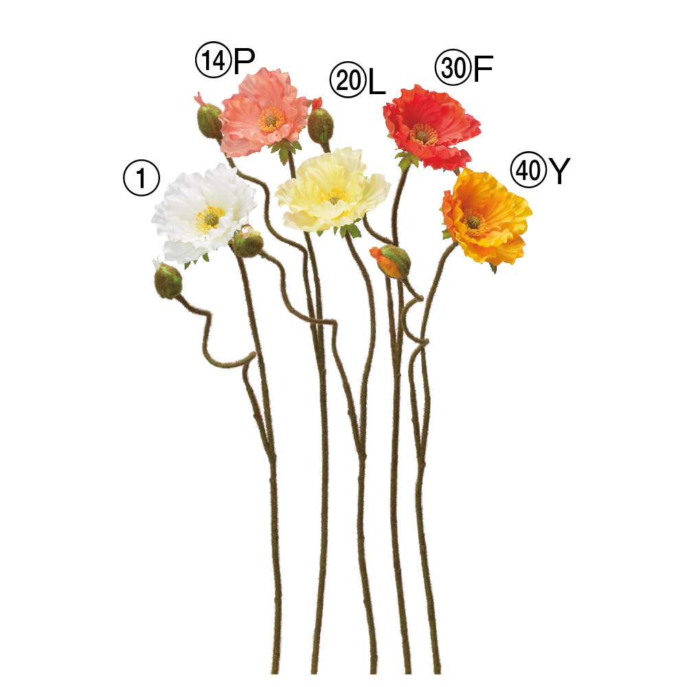 ポピー×1つぼみ×1｜商品案内｜株式会社アスカ商会