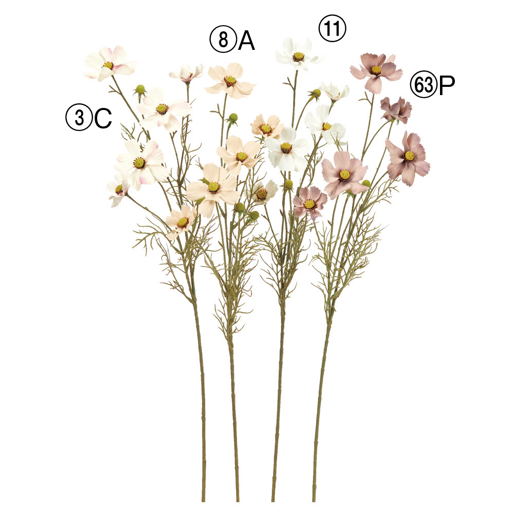コスモス×5つぼみ×3｜商品案内｜株式会社アスカ商会